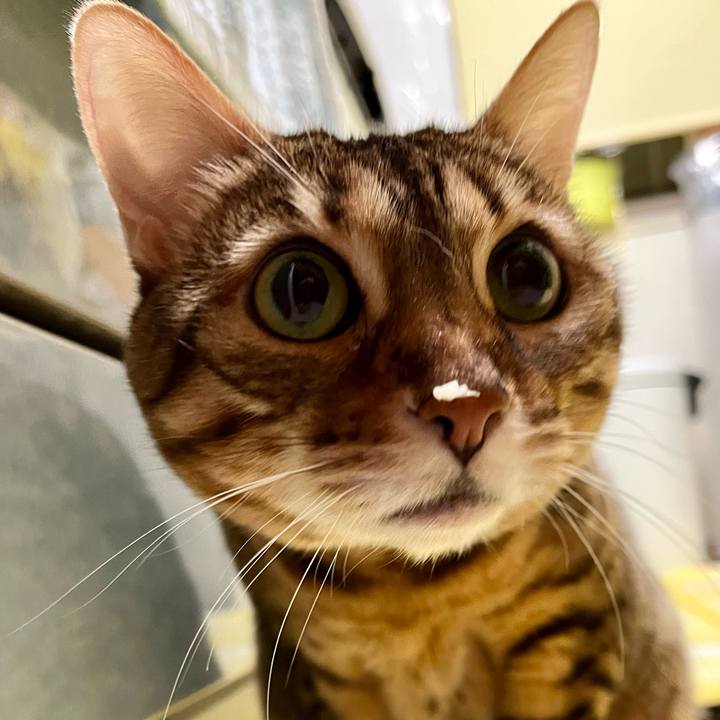 C8613c7e e7d9 49c5 b02d 79eb464f5c41 1650800663981