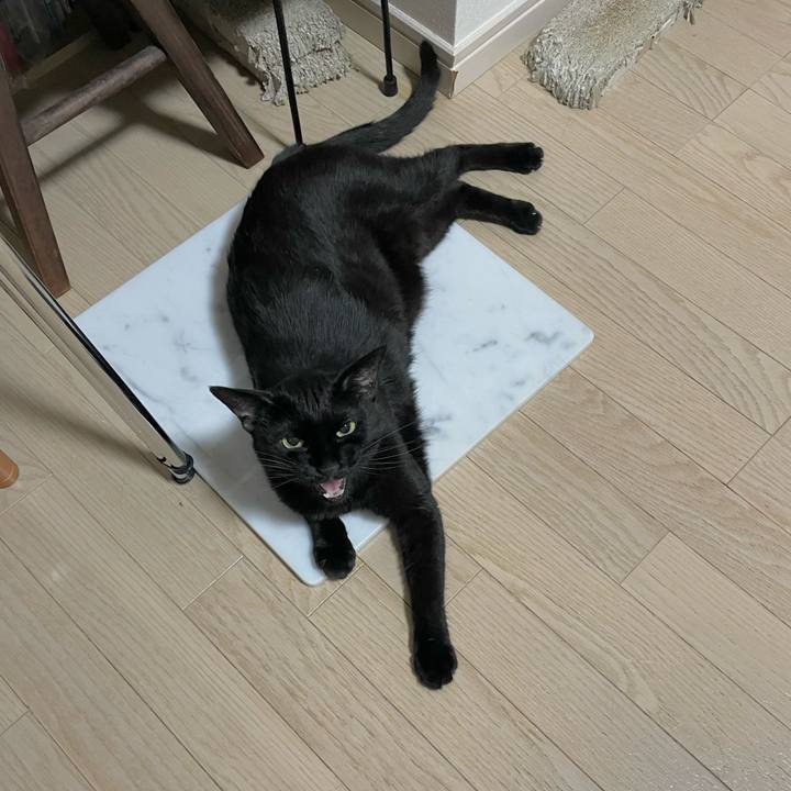 C861446b 9420 4d32 bb8c 03840b1ab10d 1656687309395