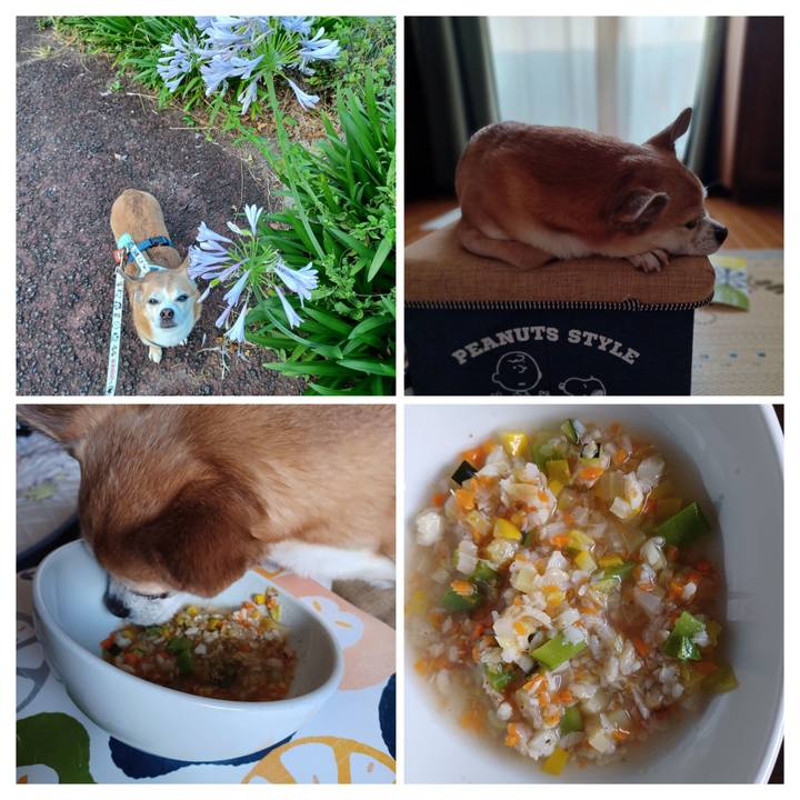 C861566a d818 47cf a373 6c46eb6ab96a 1751782315436