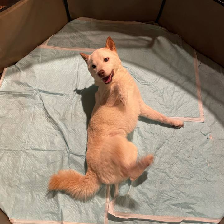 C8615ca4 5827 47f7 a0d8 c4633f383ad3 1657894656726