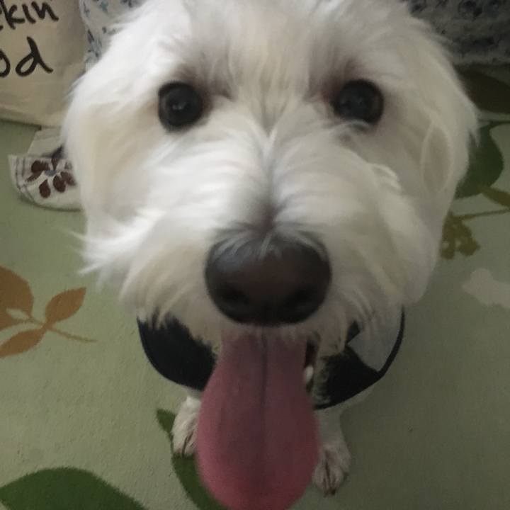 C8617218 33b2 487d a372 025fa42bba4b 1559153487236