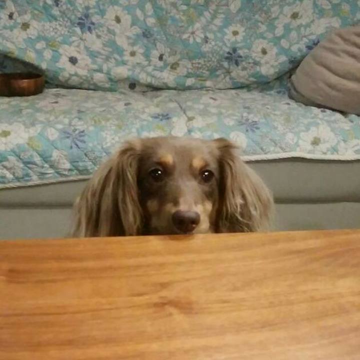 C8617990 f886 49ef 9669 14944d5cb16c 1534949682929