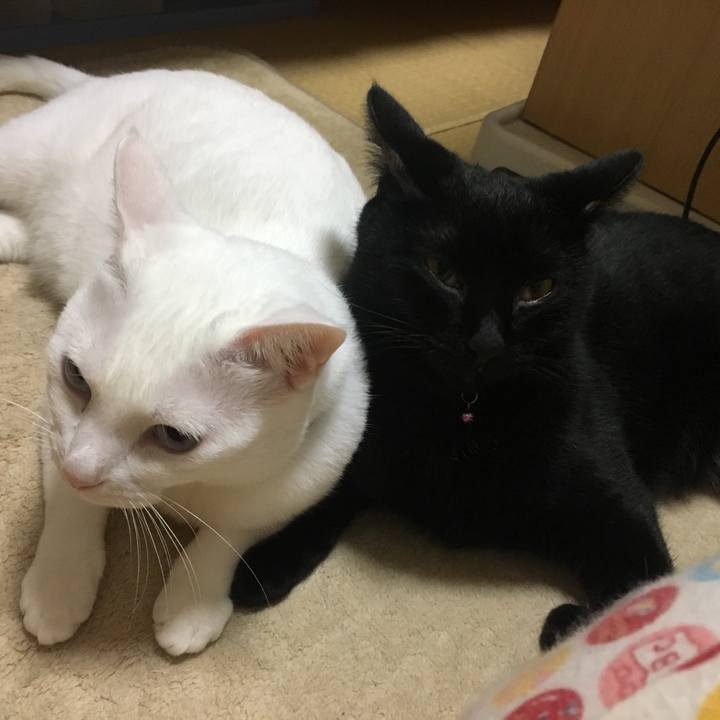 C8617c82 db32 4214 890f d874798af030 1509711921772