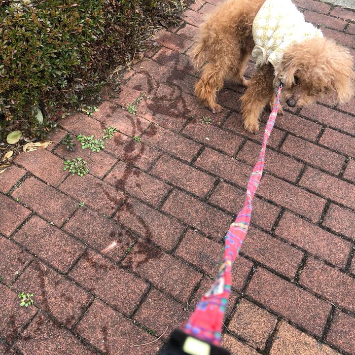 C8617e31 d328 406e 8bc7 85075df6eae5 1679012279556