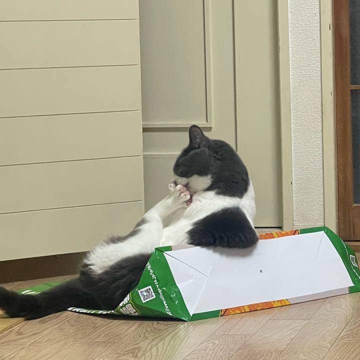 C8619487 0b24 4735 8e3c 6adefaad2cd2 1658787655182