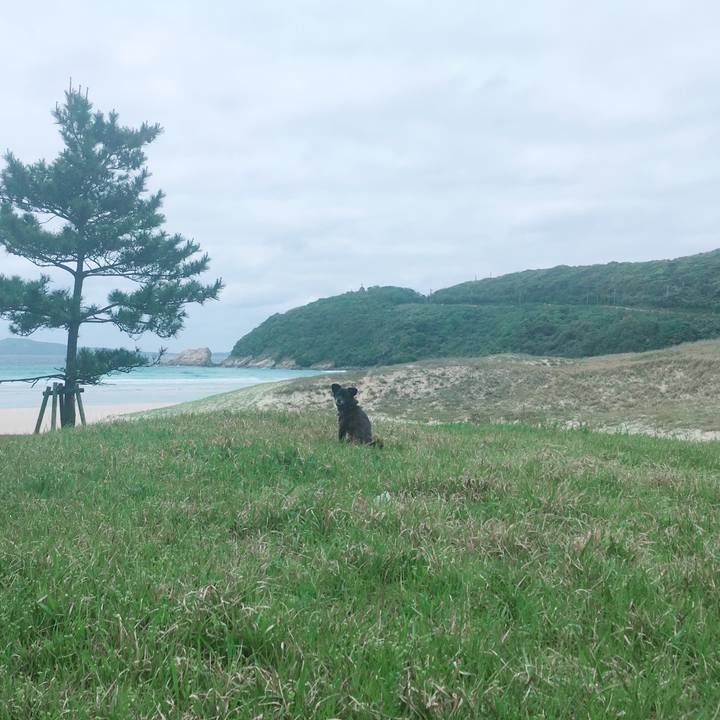 C86197fe ee7d 4c5f 9051 26dfa82d8c41 1556507944192