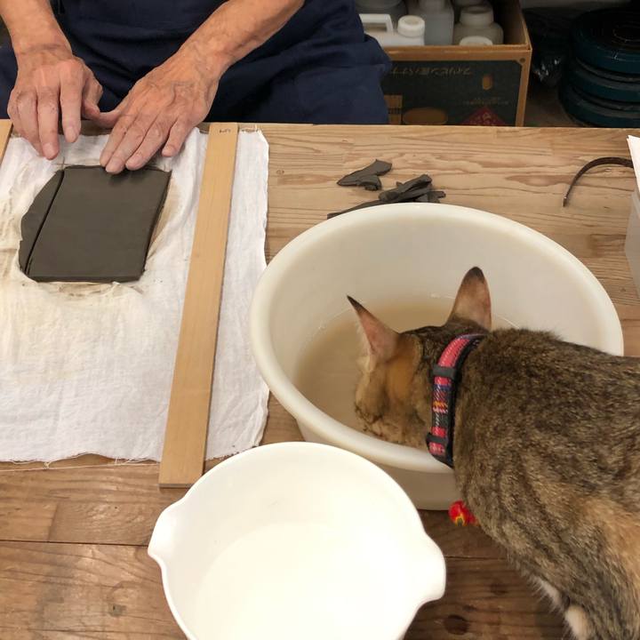 C861a1bf 8cbb 48b2 ab22 00e167d0975c 1602299186650