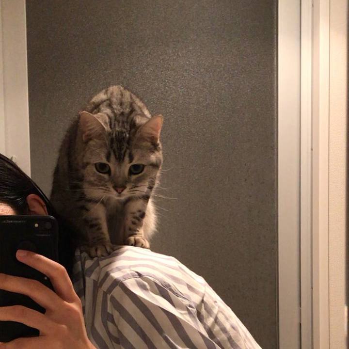 C861c29a 151f 40b7 93f3 652847fb902a 1521378087543