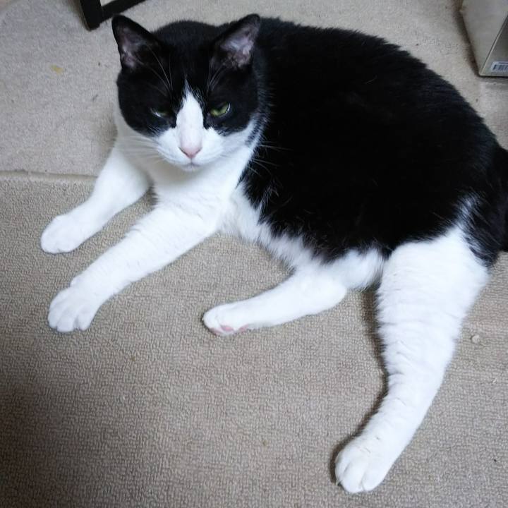 C861e44e 998f 46b3 966c fb2794d88842 1532468660250