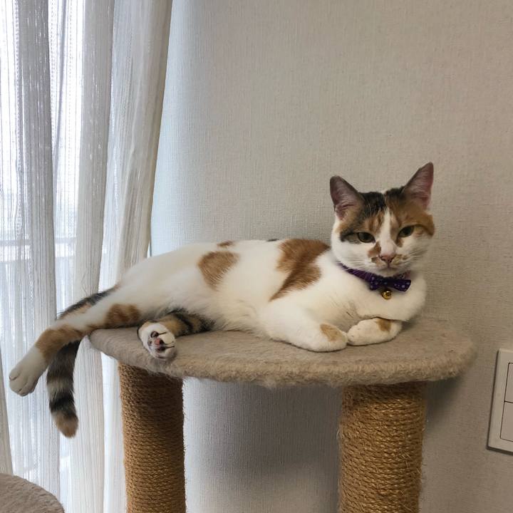 C86200c6 7523 4b38 9061 ed7d564e8963 1601610382494