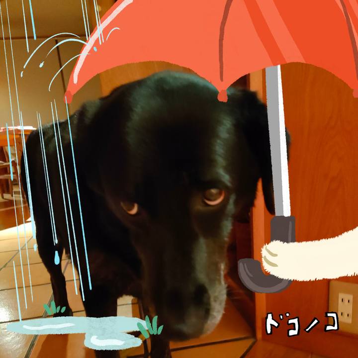 C86207e6 0b90 4e99 9eb6 5f0ebde958c4 1749162495684