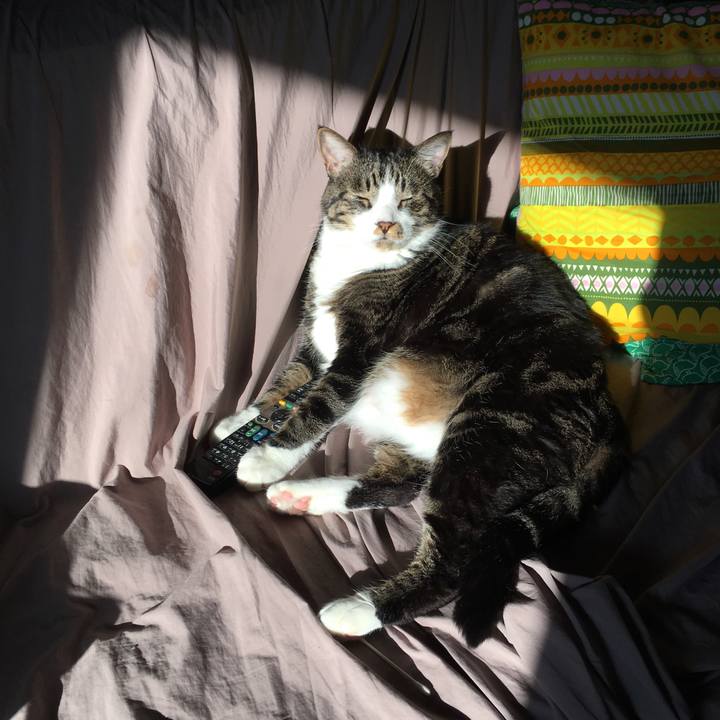 C862101d fdf4 4814 9238 4ef62895f45f 1537582121904