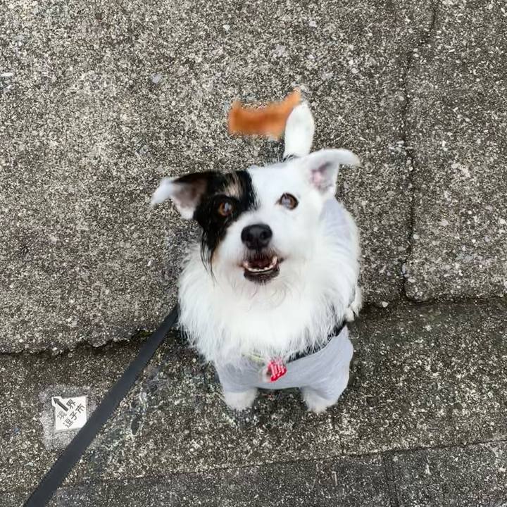 C862223e a2a2 4f04 8db1 28d3f507cbf5 1687393312184