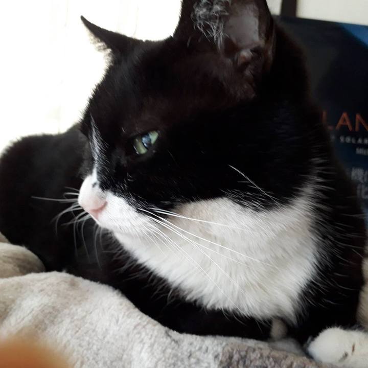 C86247ad ef3a 4a1b 8e40 c87da1db8b54 1649999108330