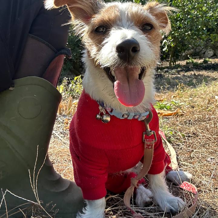 C8627f0c 2580 455e b1e7 ac194296b1e7 1762521922632