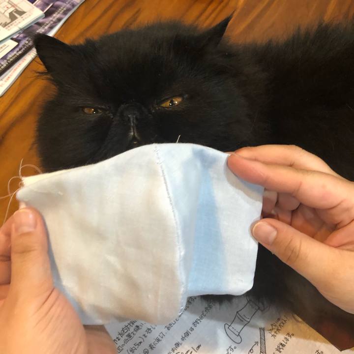 C862823e b5ee 4dcf 94b8 9d5b44e1419c 1585380671613