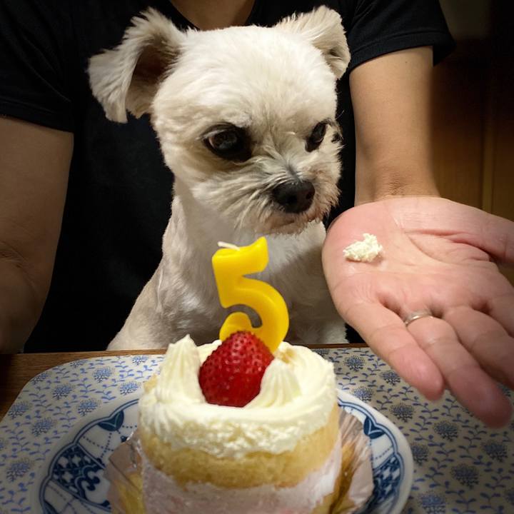 C862a43c 7f51 451e 814a eb5d5d157fcd 1596107334670