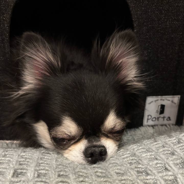 C862cf40 fd2e 4e1a af46 f0f412bbe31e 1737218898530