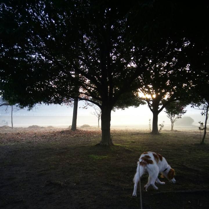 C862eb4a 86e1 4458 ae38 b77b8f85cbc3 1516242613574