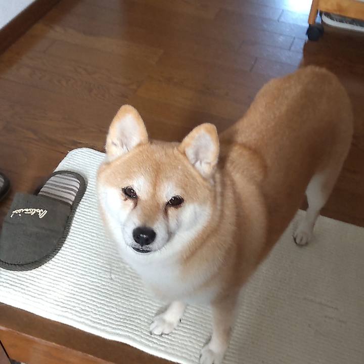 C8632547 c4d0 4423 95c1 2b4c8571c809 1765782664464