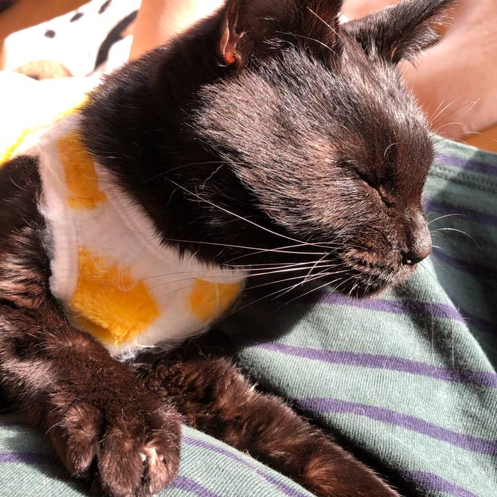 C8633810 14ff 40f1 aaf9 f3e6a358726f 1556053649235