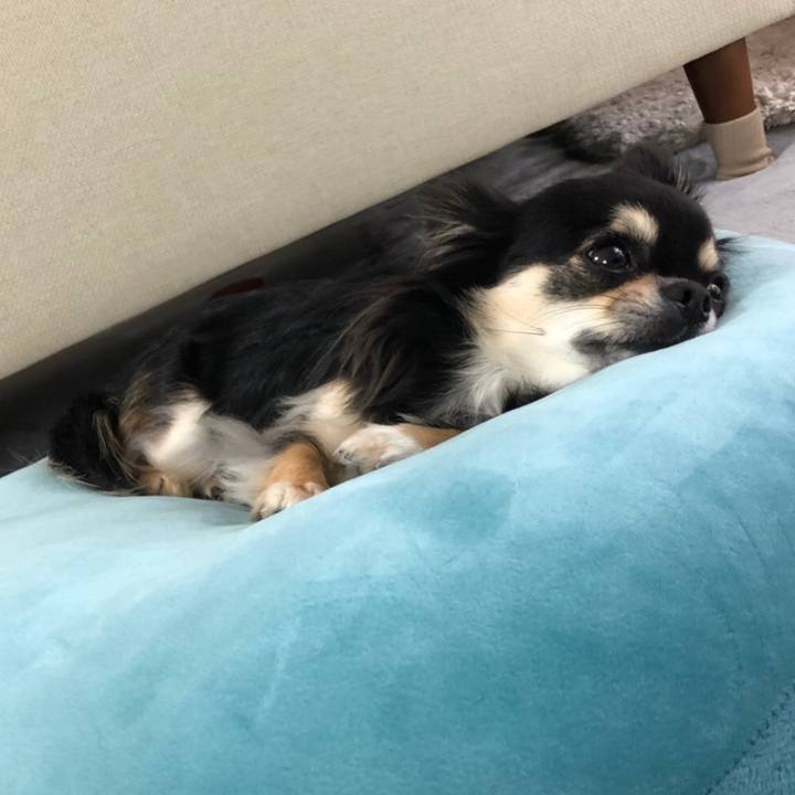 C8633f87 2c92 4490 8698 0cad73d3f09e 1593760990381