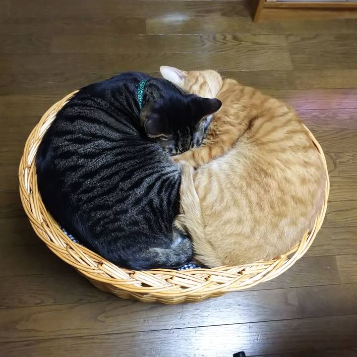 C86374cd 82a7 41a9 aa6d 04219d820897 1580228047884