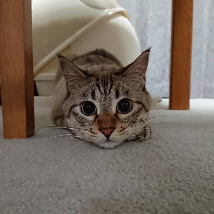 C8639672 c442 4970 9695 db99da38d497 1565528626960