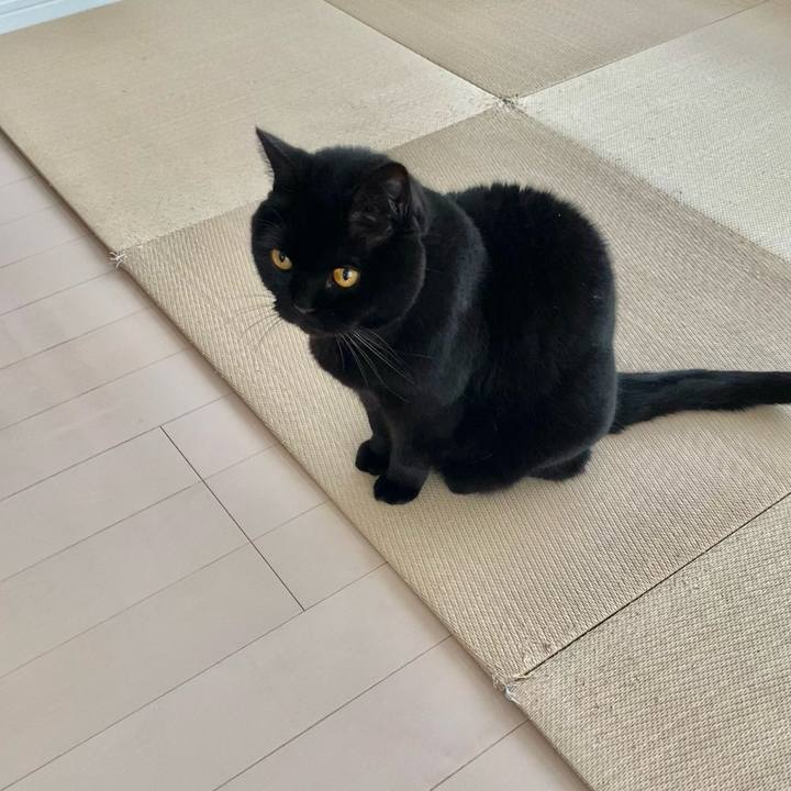 C863a2bd 3b1f 4346 b863 7fb298045332 1742023178258