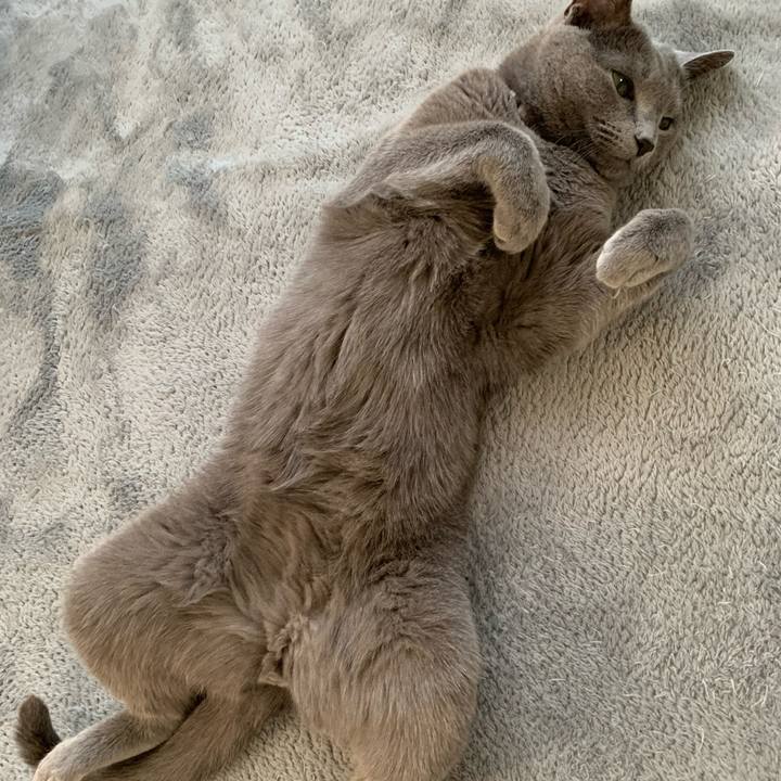 C863aa46 17ef 4aea 8644 89c7cc0f9279 1648613572008