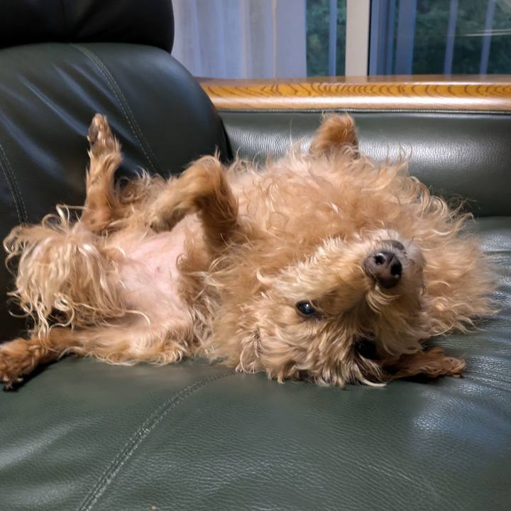 C863f26d d613 43c4 a56a cdddf14cd187 1727389677263