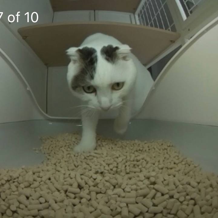 C86436b1 e806 4e4a a10e 965ccf24391e 1564831441795