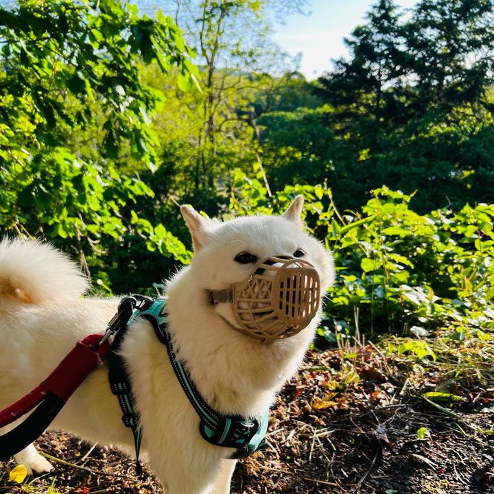 C864b83e d2b2 4d7e a69e f047ede3794a 1685915977334