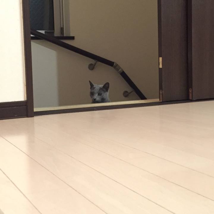 C864bbab 883c 49e0 b802 a5300389a6c0 1552260384828