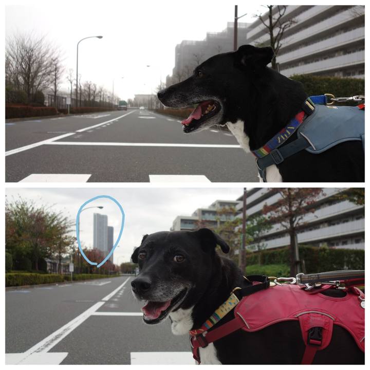 C864c239 e272 4282 bf28 fd6dbcababb4 1711759824643