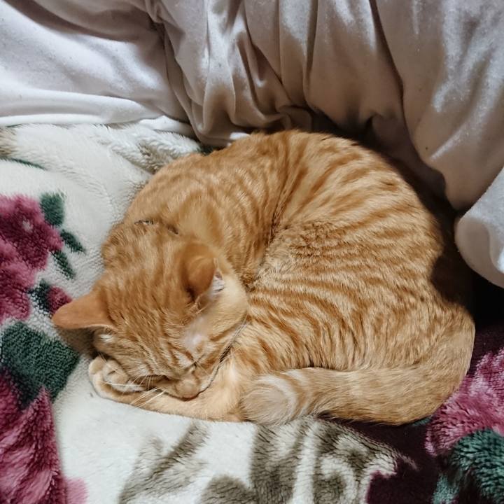 C864c277 b285 4cd1 aad6 f3415c881e24 1638793662414