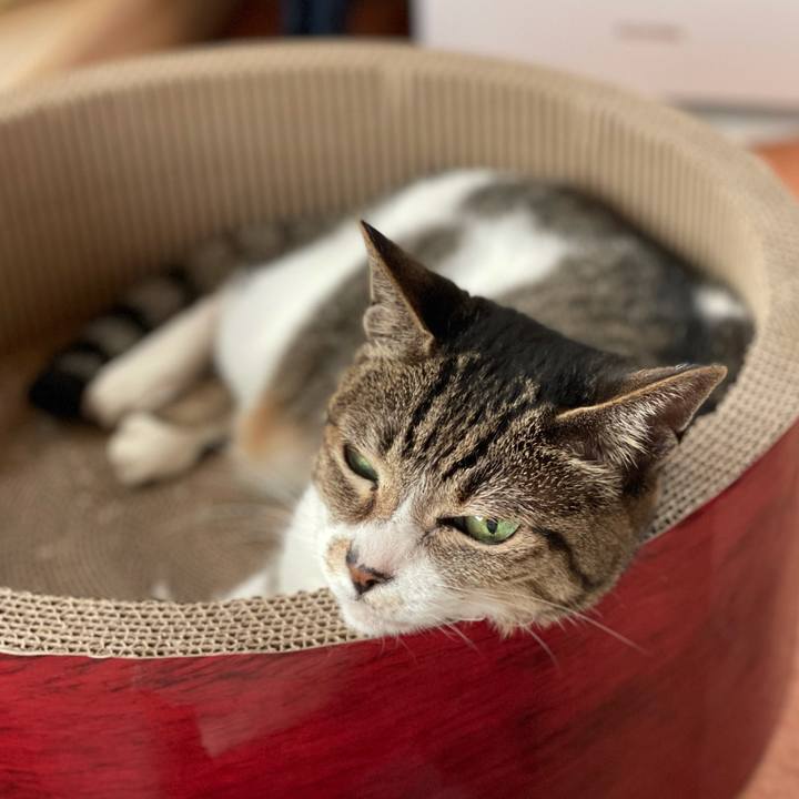 C864fb2f 7a16 4458 948a 88cd723c2518 1621043194736