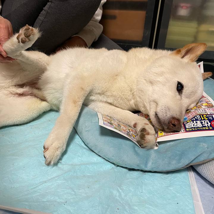 C8654e2b d57b 4170 808c 309776fb0a47 1652195174037