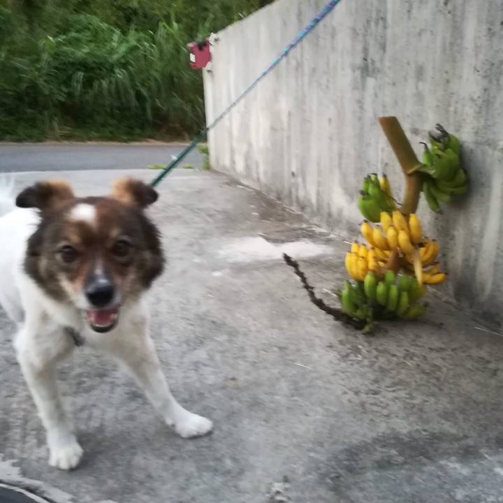 C8655702 d790 443b 9f6d 24b8991df580 1533263526356