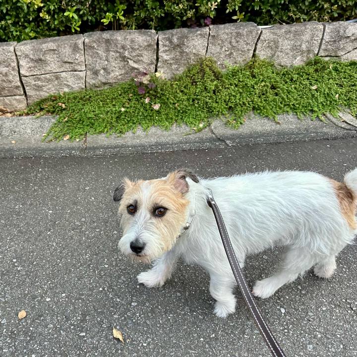 C8657eee 4743 45b5 bed3 f008536029e2 1755406823284