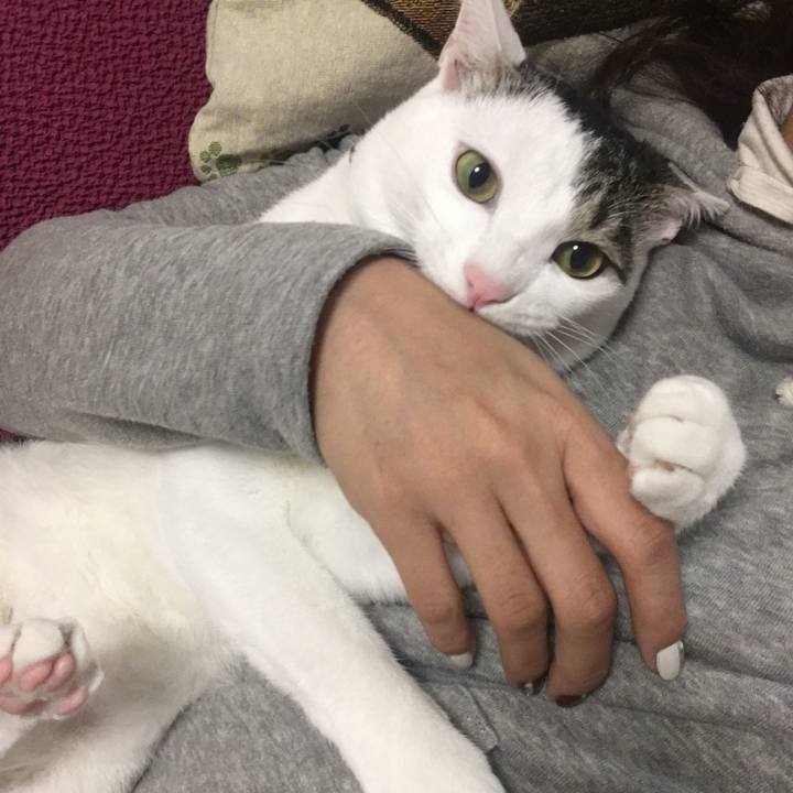 C8658ed0 0618 4a88 9b67 0eaedfccc4b2 1513429357633