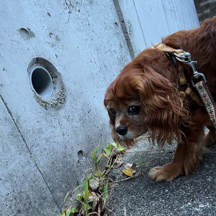 C865c03b 2cf0 47d1 a332 19c4e19466ea 1728085479640