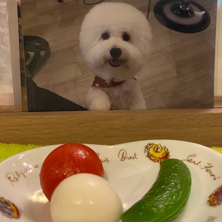 C865f9e3 a376 4200 b3fe 1b0908792506 1736764630804