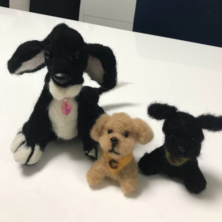 C865ff93 900a 4bff 98d3 c6a70ea903ae 1516109113830