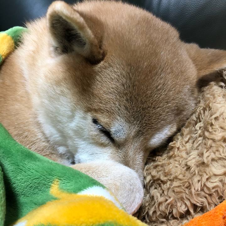 C8660051 ca82 4cd7 bf7e 84d1829fefee 1580620499806