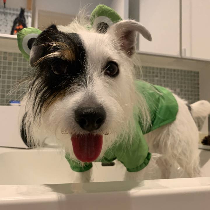 C866014b 7497 49e4 9e55 4cef721f136b 1663660151682