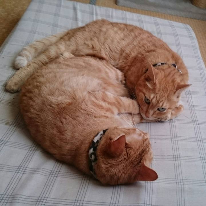 C8661b95 69bd 4f43 b572 7cc1d641aac1 1538465652717