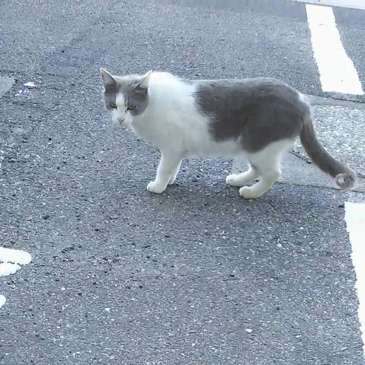 C86630a0 0c9c 4ce0 88e9 5613007bbdf0 1557565349587