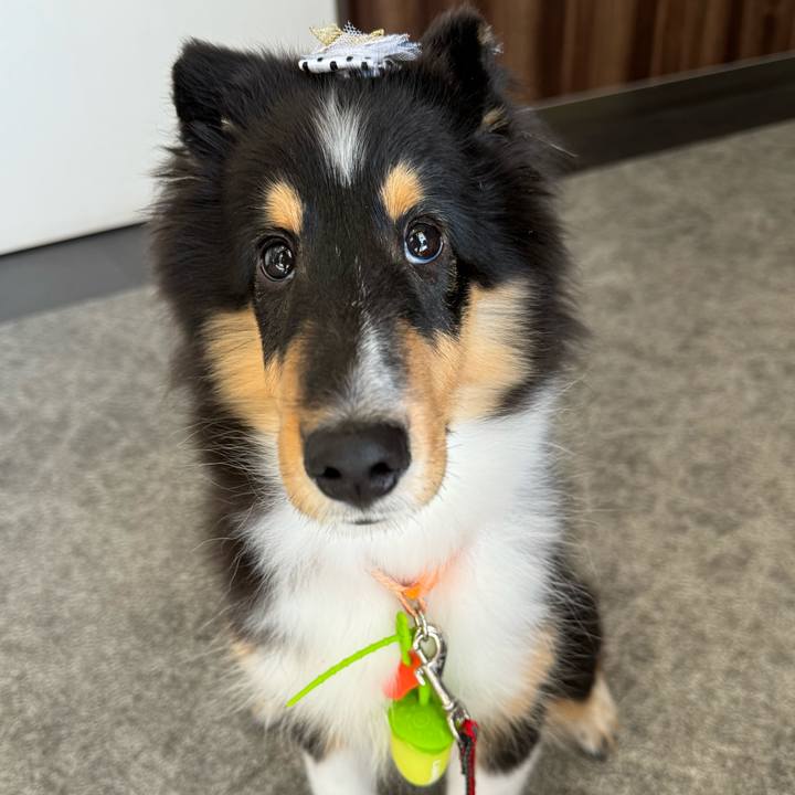 C8666d56 a3ef 4ca4 835f 0f928afa7485 1728751720261