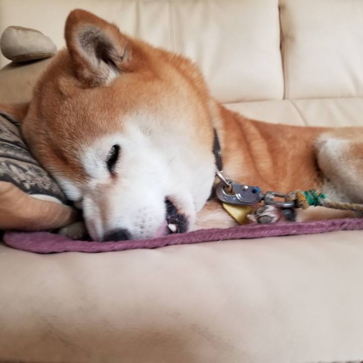 C866b1e6 cb06 45cb ac7e cc8b421a338a 1624335898288